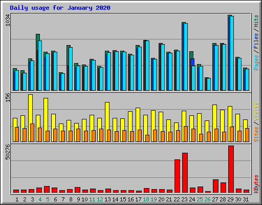 Daily usage for January 2020
