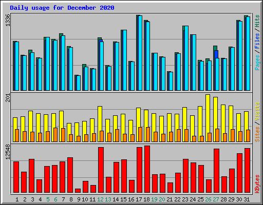 Daily usage for December 2020