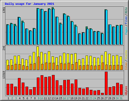 Daily usage for January 2021