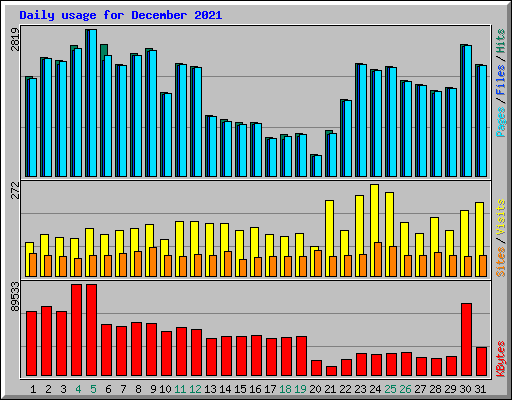 Daily usage for December 2021