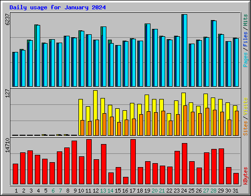 Daily usage for January 2024