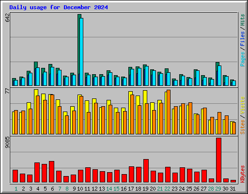Daily usage for December 2024