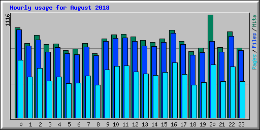 Hourly usage for August 2018