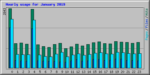Hourly usage for January 2019