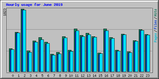 Hourly usage for June 2019