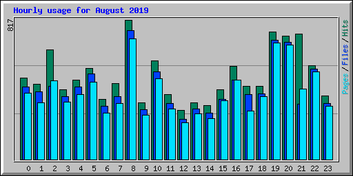 Hourly usage for August 2019