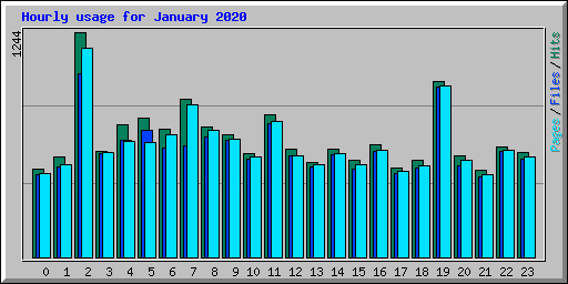 Hourly usage for January 2020