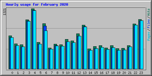 Hourly usage for February 2020