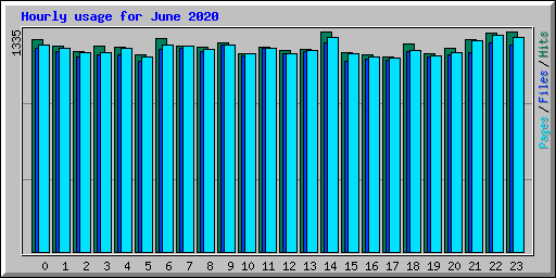 Hourly usage for June 2020
