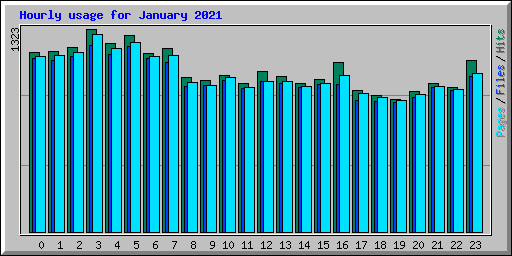Hourly usage for January 2021
