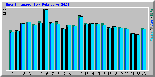 Hourly usage for February 2021