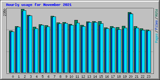 Hourly usage for November 2021