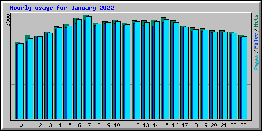 Hourly usage for January 2022