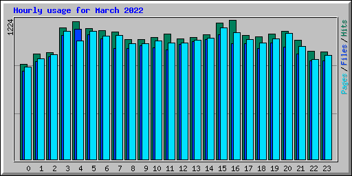 Hourly usage for March 2022
