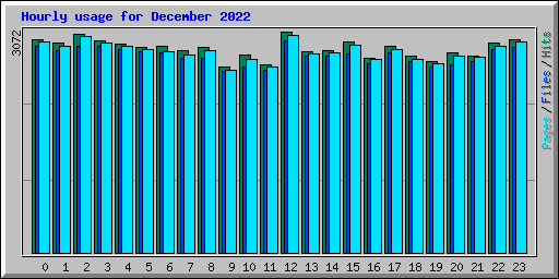 Hourly usage for December 2022