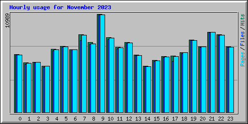 Hourly usage for November 2023