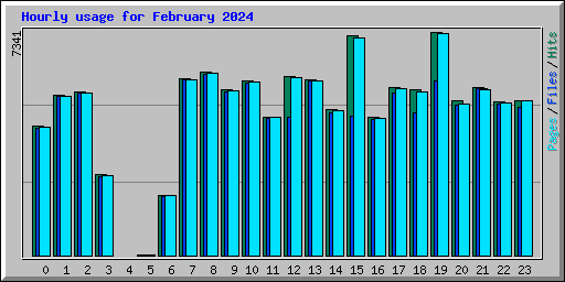 Hourly usage for February 2024