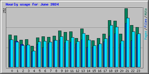 Hourly usage for June 2024