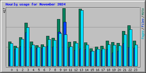 Hourly usage for November 2024