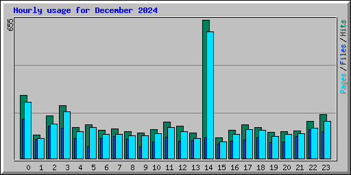 Hourly usage for December 2024