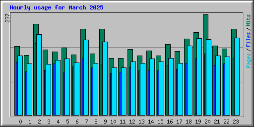 Hourly usage for March 2025