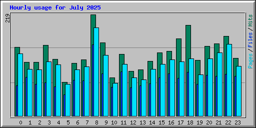 Hourly usage for July 2025