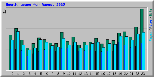 Hourly usage for August 2025