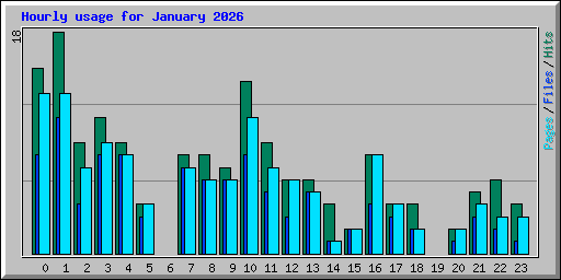 Hourly usage for January 2026